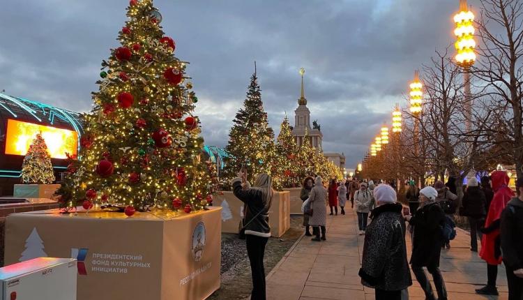 На ВДНХ украсили ель Саратовской области