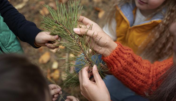 kids-learnign-about-environment