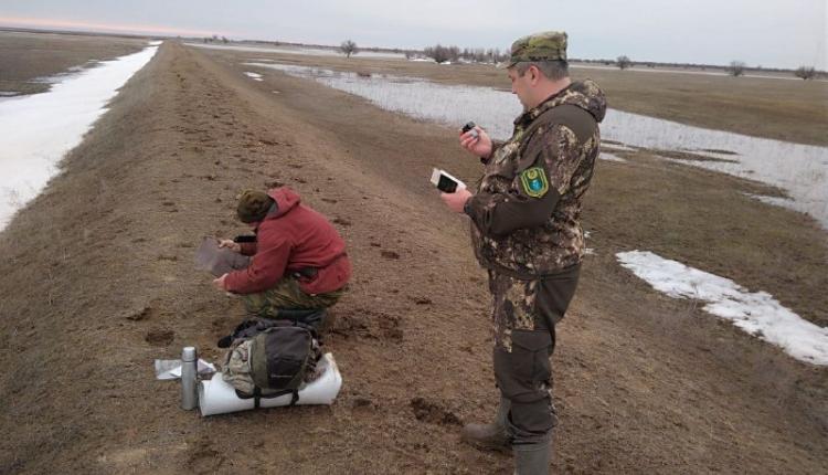 За выходные в охотничьих угодьях Саратовской области выявили 23 нарушения правил охоты