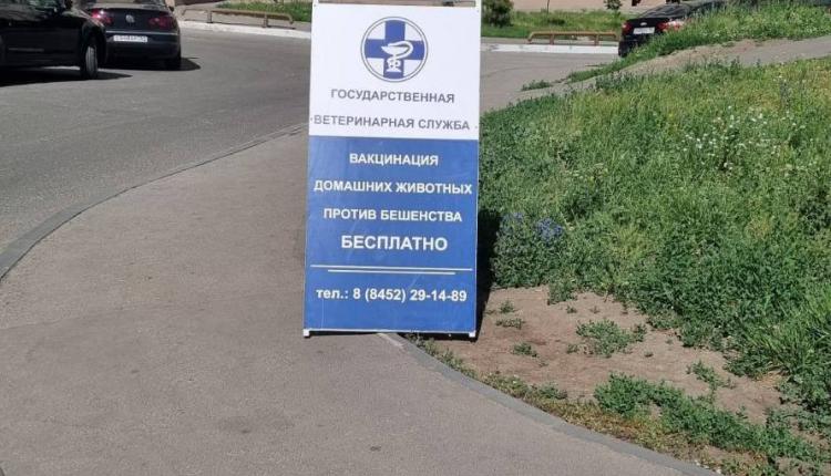 В Саратове начинается выездная кампания по вакцинации домашних животных против бешенства