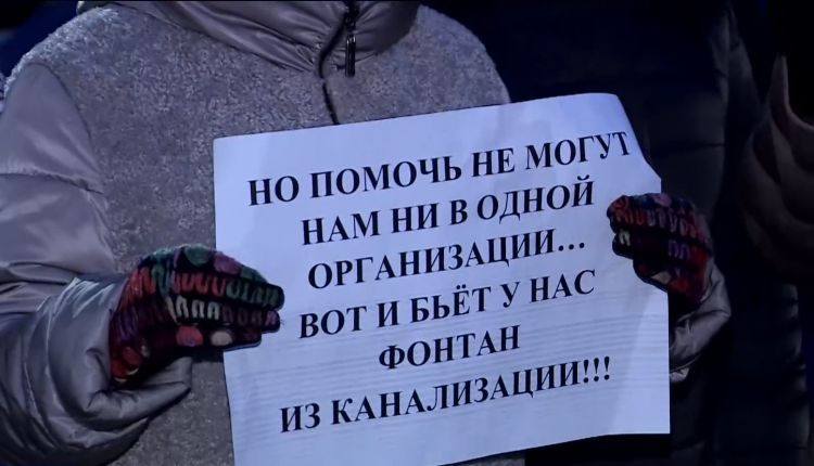 Уже долгое время они живут буквально на болоте