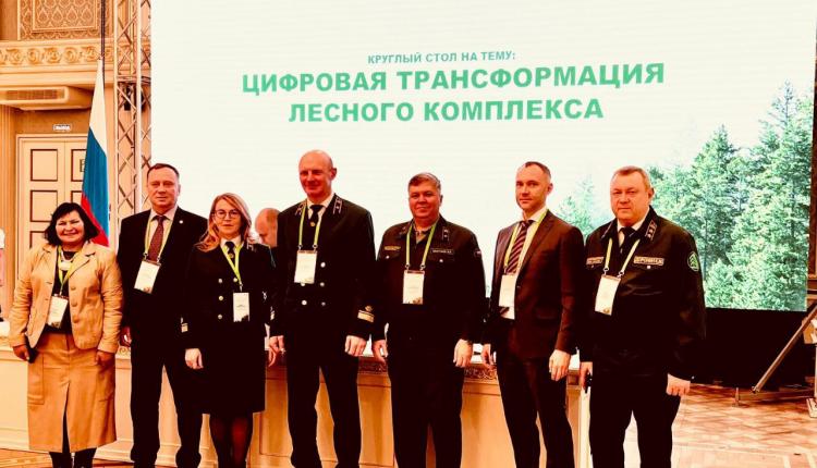 Программа совещания включает в себя проведение круглых столов по таким важным вопросам как «Защита лесов, цели и задачи на 2025 год» и «Цифровая трансформация лесного комплекса»