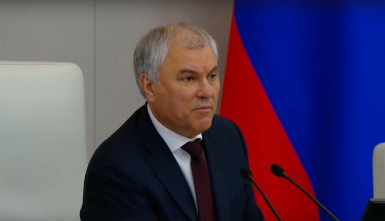 Парламентарии предлагают решение, которое позволит убрать их с улиц в приюты