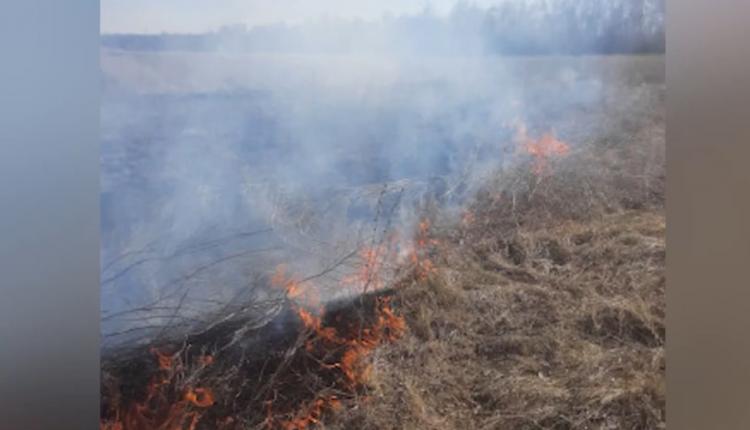 На место чп своевременно приехали пожарные и местный фермер