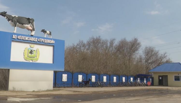 Это и средства федеральных грантов, и собственные ресурсы владельцев компаний