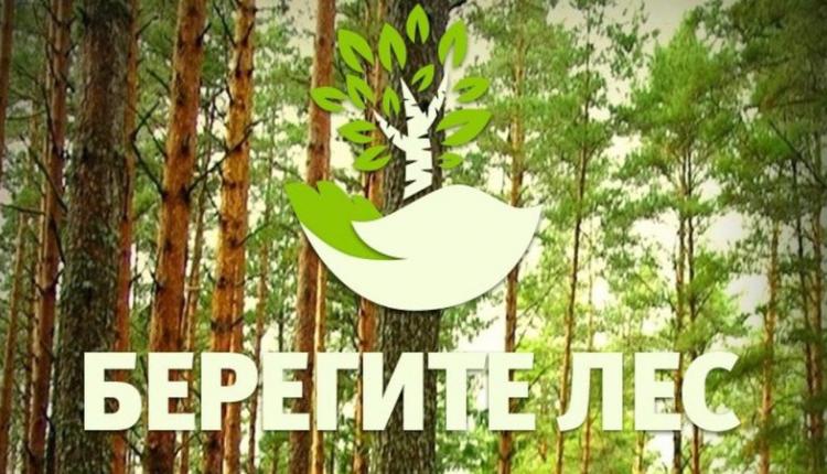 На землях лесного фонда Саратовской области с 18 апреля по 31 октября устанавливается особый противопожарный режим