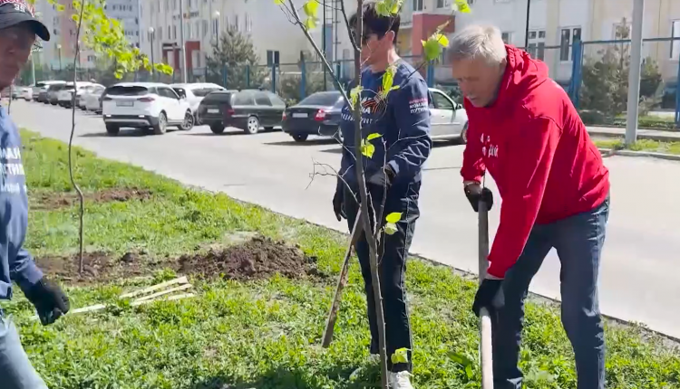 Реготделение Народного фронта создает аллею памяти героев Великой Отечественной войны в сквере на улице Лисина