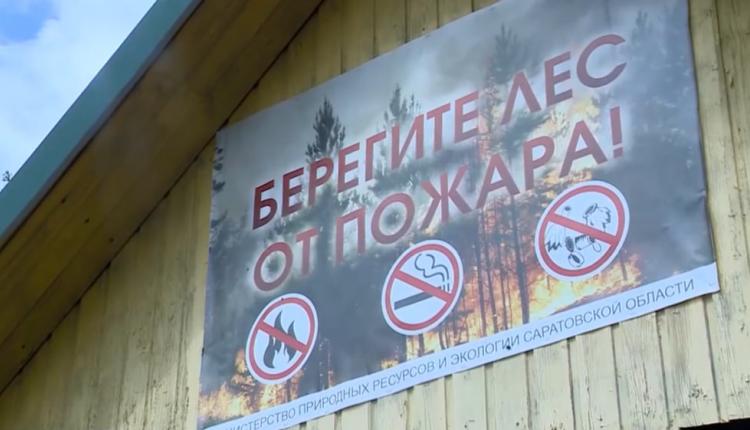 В лесах Саратовской области сейчас нельзя разводить костры, а также заезжать в них на автомобиле, только если это не дорога общего пользования