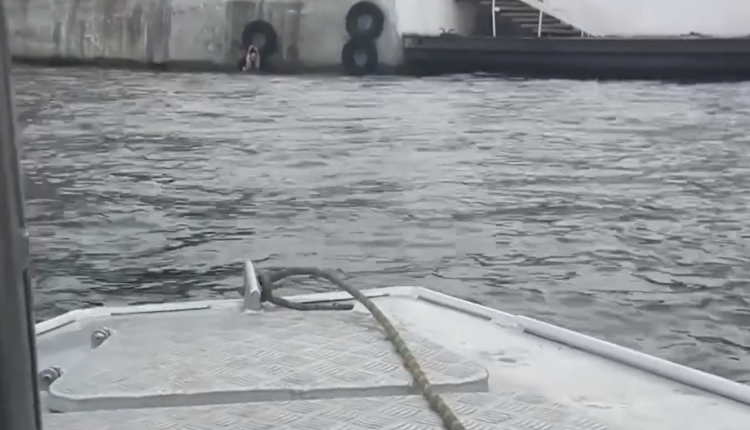 Накануне вечером спасателям городской службы спасения пришлось прийти на помощь купальщику