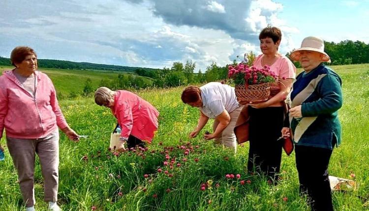 В регионе продолжается доставка на экскурсии подопечных социозащитных учреждений, проживающих в отдаленных районах