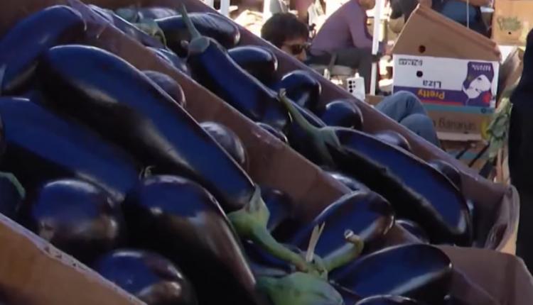 Там можно найти как редкие деликатесы, так и базовые продукты питания