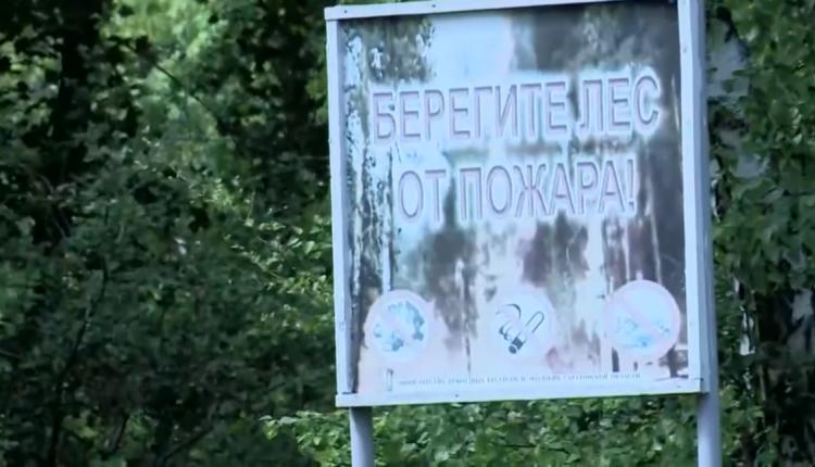 Об этом сообщает пресс-служба регионального министерства природных ресурсов и экологии
