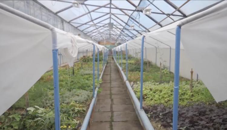 На базе Вавиловского университета состоялось рабочее совещание с участием исполняющего обязанности заместителя главы города по благоустройству Татьяны Рыхловой