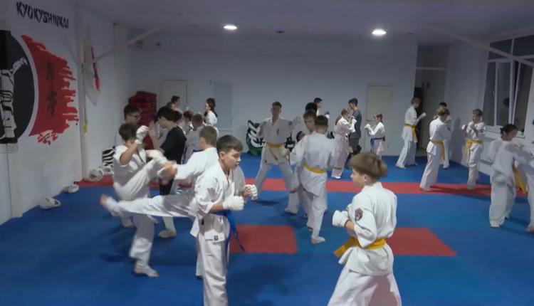 Копилка спортивных наград региона в ноябре пополнилась наградами международного и всероссийского уровня