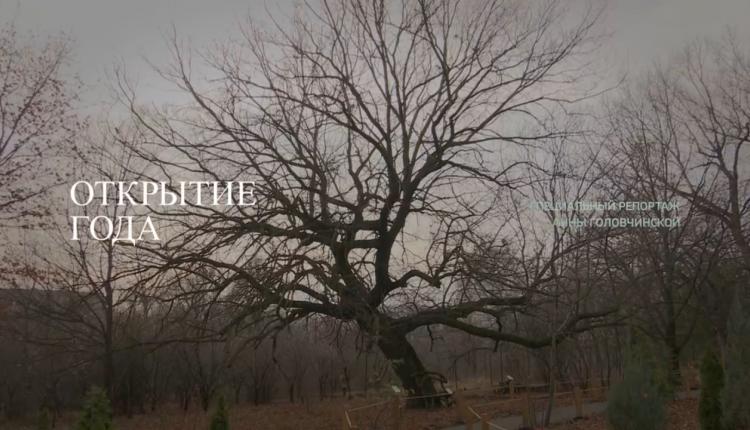 Специальный репортаж. Открытие года