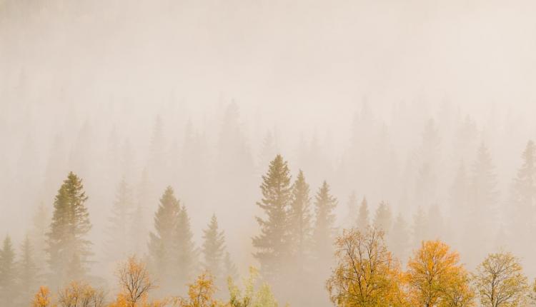 Какую погоду ждать саратовцам на этой неделе?