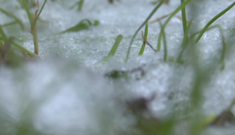 Синоптики и региональное управление МЧС сообщили об ухудшении погоды