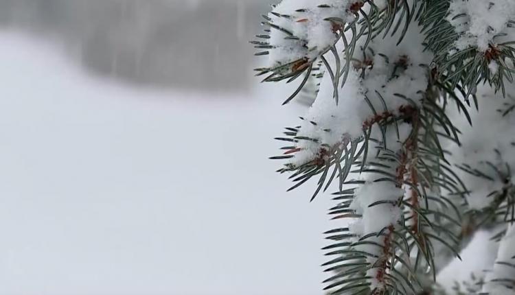 Он начался еще накануне вечером и идет до сих пор