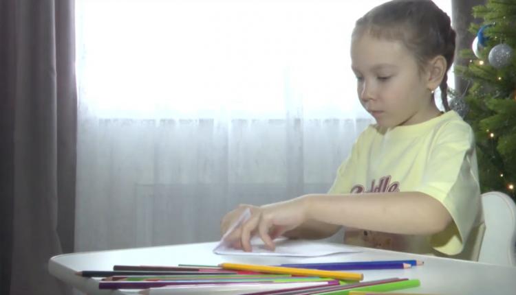 Девочка продает свои рисунки на одной из онлайн-платформ, а на вырученные средства вместе с родителями закупает корм для собачьего приюта