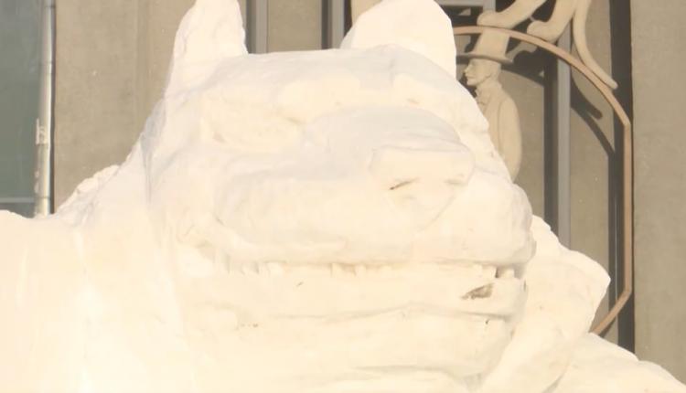 Жители города вдохновились ярким шоу с тиграми