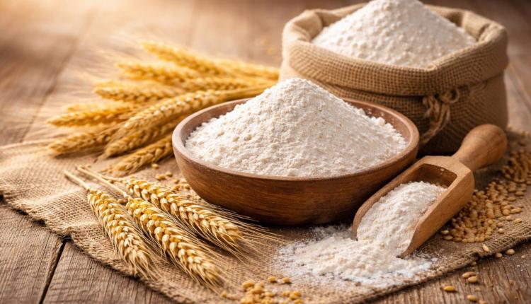 В настоящее время на выделенном земельном участке начаты строительные работы, которые планируется завершить в 2028 году