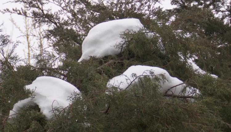 Как говорят народные приметы, на Масленицу зима уступает место весне