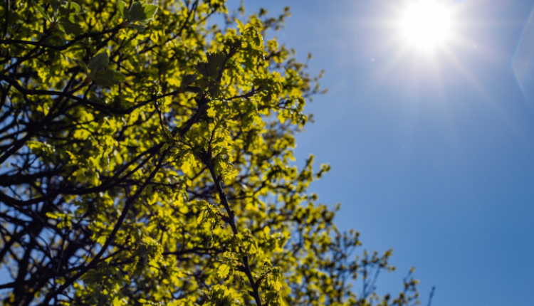 солнце небо тепло весна лето