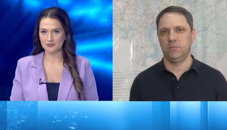 Свыше 2 тысяч деревьев и 12 тысяч кустарников высадили в прошлом году