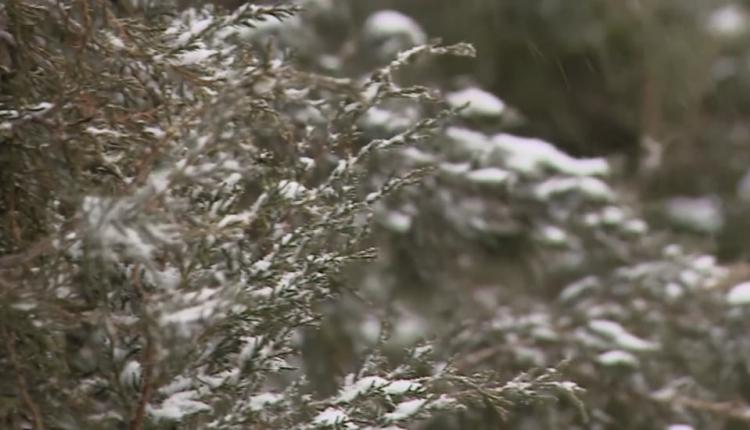 Зима не планирует сдаваться. Снежный сюрприз ждал всех жителей региона сегодняшним утром