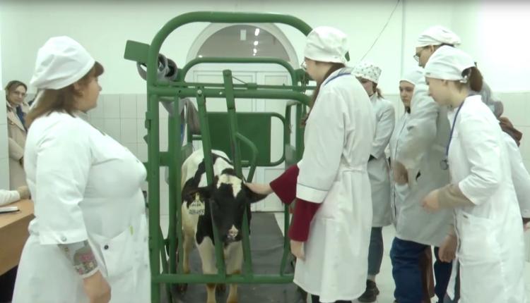 В нашей области таких специалистов чуть больше 2 тысяч человек