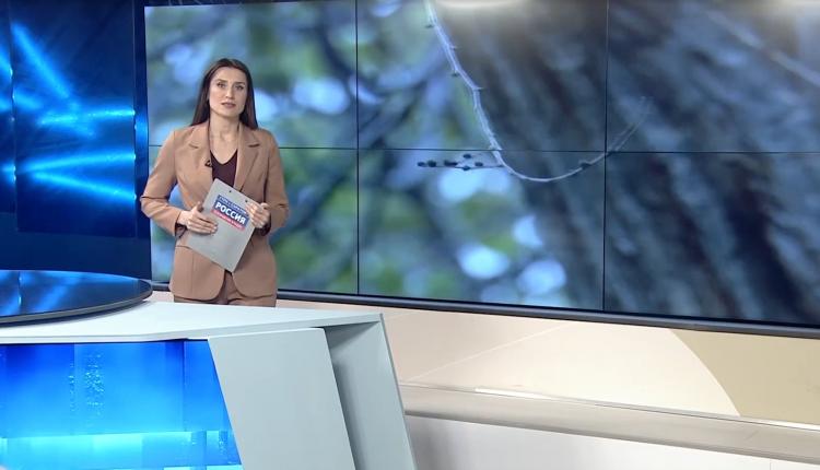 Температура ниже климатической нормы – так говорят о сегодняшней погоде синоптики