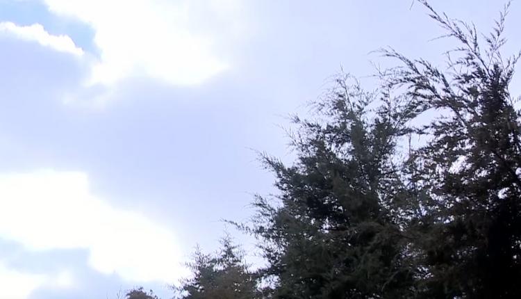 Пока по всей стране бушует стихия, в саратовском регионе относительно спокойно – светит солнце