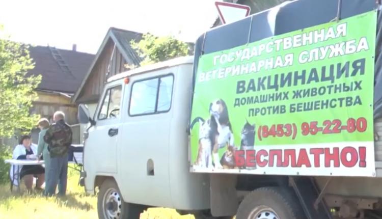 В Саратовской области стартовала бесплатная вакцинация от бешенства, в том числе и в передвижных пунктах