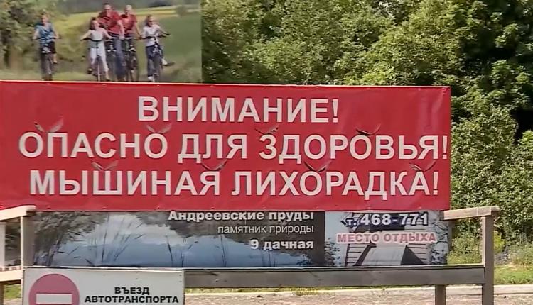 Эпидемиологи напоминают, что последняя вспышка заболевания в нашей области была отмечена еще в 2019 году