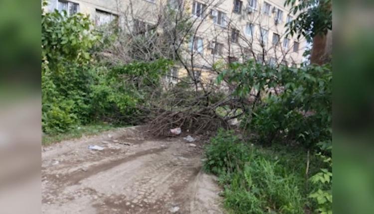 Обзор происшествий в регионе