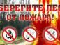 Саратовцы за нарушение противопожарного режима в лесах заплатят 355 тысяч рублей