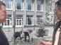 В летний период подрядной организацией проводится замена более 500 м² плиточного покрытия